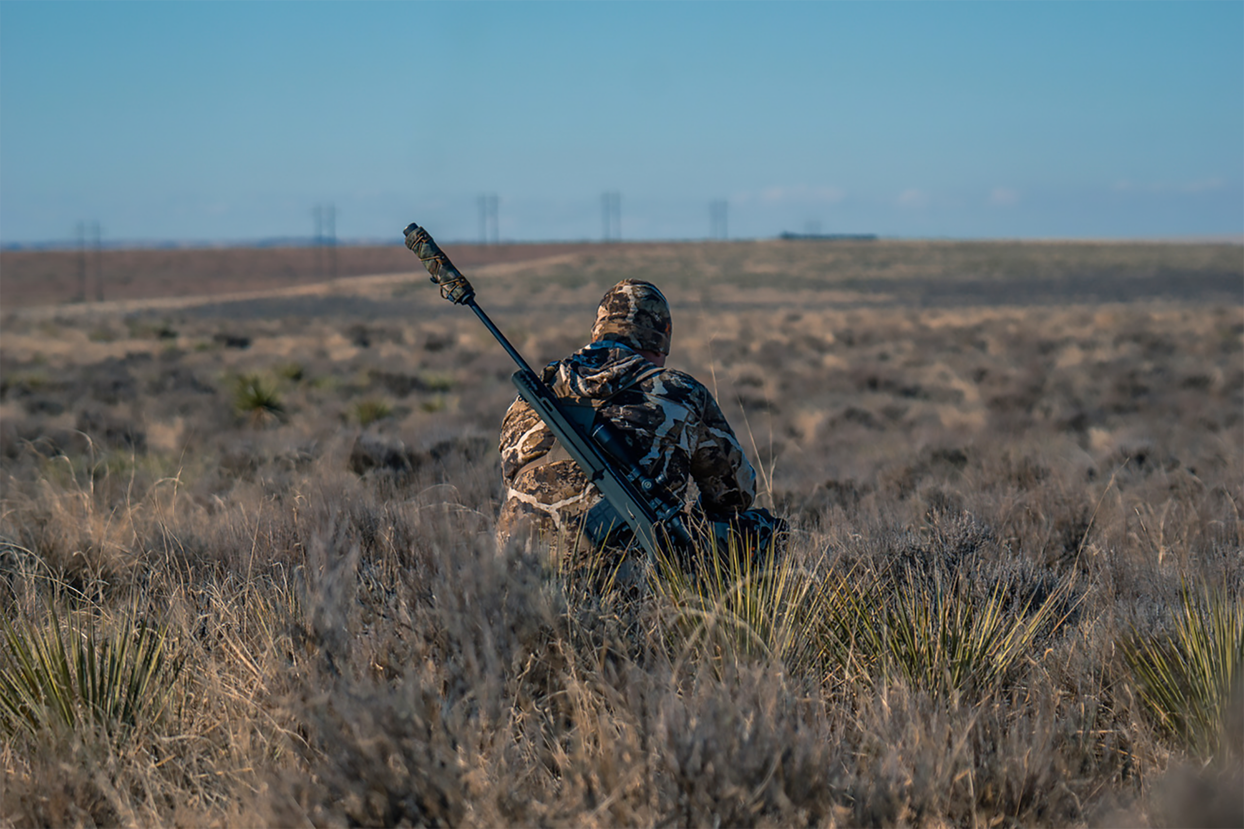Coyote Hunting